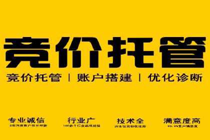 SEM代运营公司案例：行业应用解析